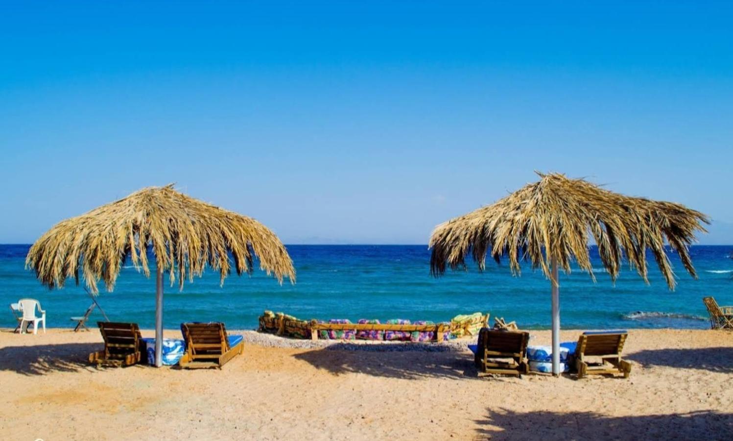 ホテル Acacia Camp Nuweiba` エクステリア 写真