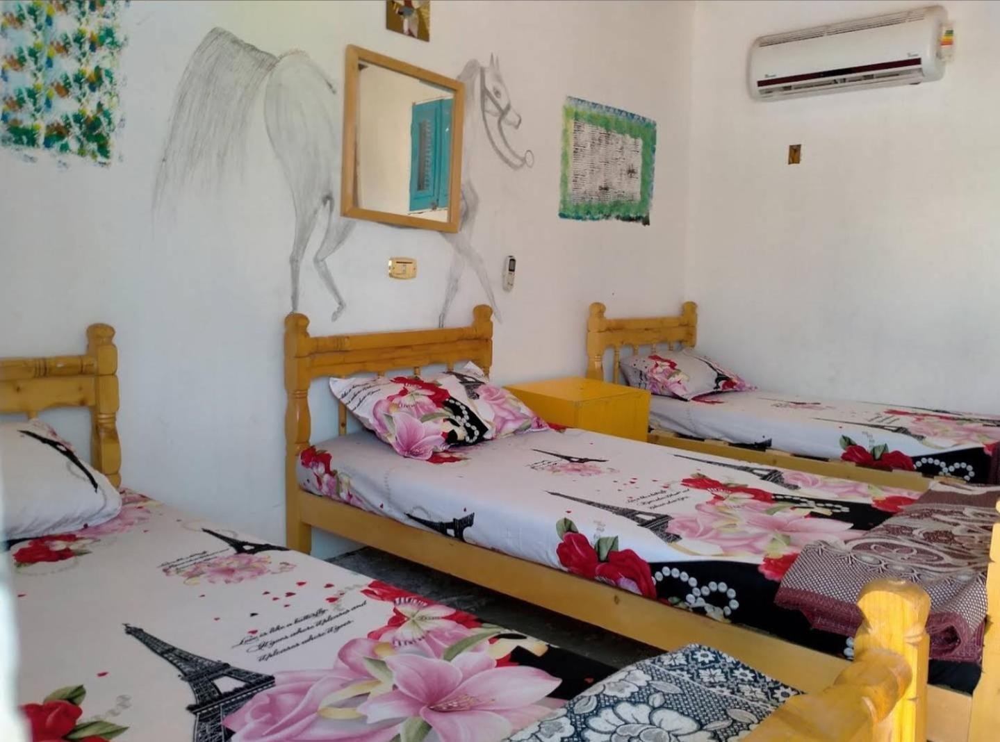 ホテル Acacia Camp Nuweiba` エクステリア 写真